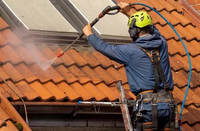 Démoussage et hydrofuge de toiture à Buisse